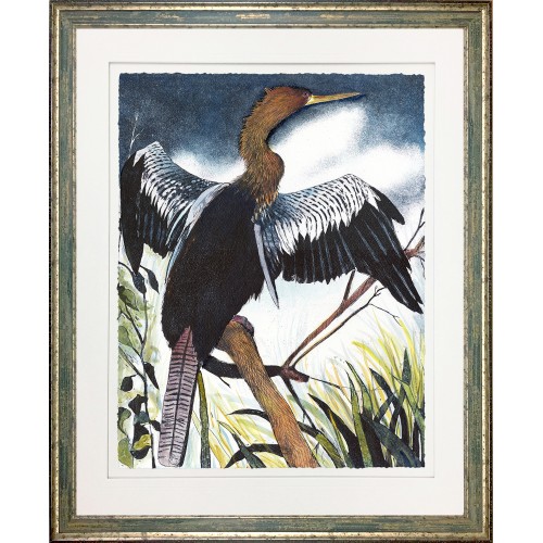 CL- ANHINGA